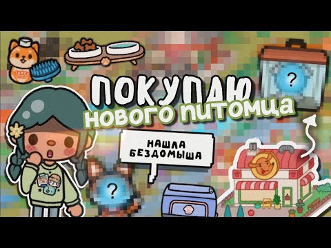 Видео: Vlog : покупаю необычного питомца в зоомагазине 😊🦔🐾 || тока бока || toca life world || Aeslie Toca