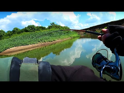 Видео: Ловил ГОЛАВЛЯ, а поймал... Рыбалка с берега в ЖАРУ