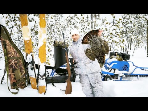 Видео: ОХОТА НА ГЛУХАРЯ С МЕЛКАШКОЙ / СТОЛЬКО ГЛУХАРОК Я ДАВНО НЕ ВИДЕЛ / ТОЛКАЧ АЛЬБАТРОС ПОКОРЯЕТ СНЕГА.