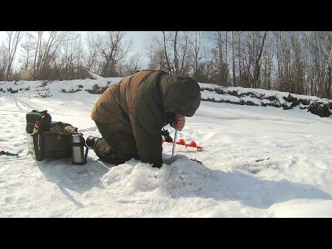 Видео: Об этой лунке только мечтать! Обская рыбалка в удовольствие.