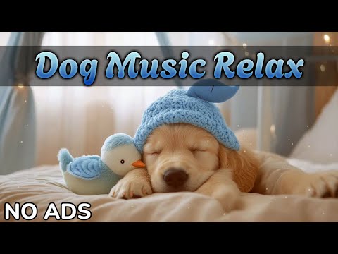 Видео: Расслабляющая музыка для собак🐾 Музыка для сна, которая помогает миллионам питомцев расслабляться 🎶