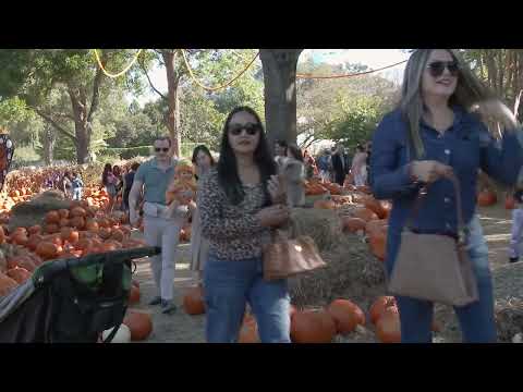 Видео: Ботанический сад Далласа 23 октября 2025 года