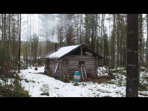 Видео: На избу с ночёвкой/ Охота на куницу капканами/ Самоловки/ Фотоловушка/ Нордик ворует/ Заяц