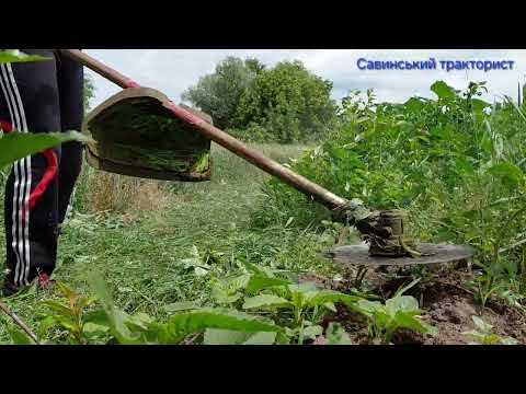 Видео: Кошу траву мотокосою#farming Gudlak #agriculture