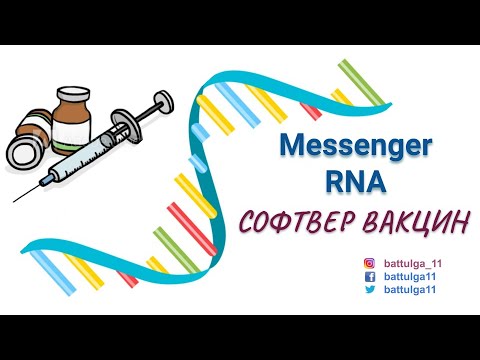 Видео: Messenger RNA - Вакцины Шинэ Технологи