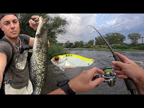 Видео: 🐟Два дни с една цикадка - много екшън! Риболов на р. Марица | Кефал | Сом 🐟