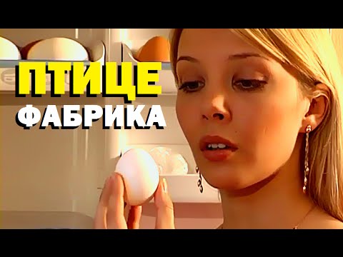 Видео: Галилео. Птицефабрика
