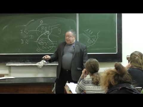 Видео: Каменский А. А. - Физиология человека и животных - 16. Рефлексы и реципрокное торможение