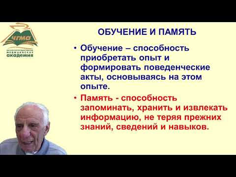 Видео: Физиология памяти