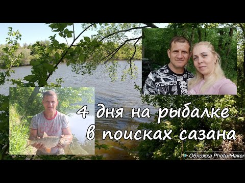 Видео: В поисках сазана. 4 дня в ожидании желанной рыбы. Карповая рыбалка бывает и такой....