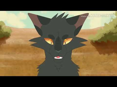 Видео: Коты-Воители. Кленовница ,,Дочь зла"