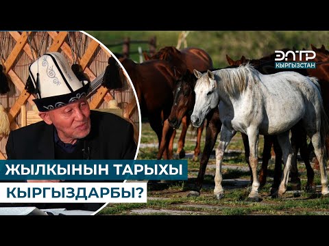 Видео: ЖЫЛКЫНЫ АЛГАЧ КЫРГЫЗДАР ҮЙРӨТКӨН // МУРАС САБАТЫ