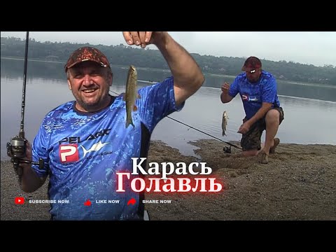 Видео: Появилась рыба и много , по обеем берегам реки Днепр в Запорожье 15 июня 24г.