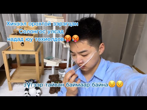 Видео: Амьдрал гоё юм өө OMG Бүгдээрээ барна даа🐣🐣