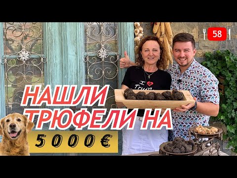 Видео: Трюфельная охота в Хорватии. Truffle Hunting. Croatia