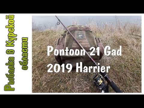 Видео: Обзор спиннинга Pontoon 21 Gad 2019 Harrier.  Посылка со спиннингом из Фмагазин