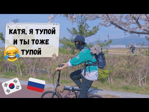 Видео: 🤯Конфликт с мужем корейцем, ужин со свекровью, соревнования - наши стрессовые выходные. Катя и Кюдэ