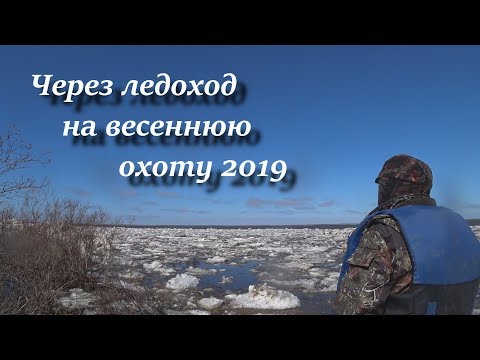 Видео: Через ледоход на весеннюю охоту 2019