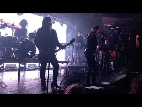 Видео: "Би-2". Concert in Rome. Italy. 18/09/2025. Video-shorts 1 Respecr