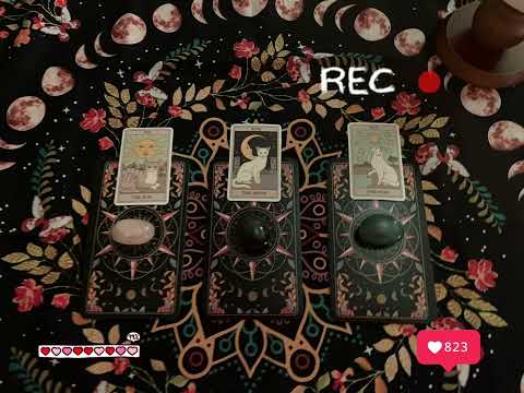 Видео: 🤍soul message💌 таны сүнсэнд юу хэрэгтэй байна вэ? (tarot reading)❤️