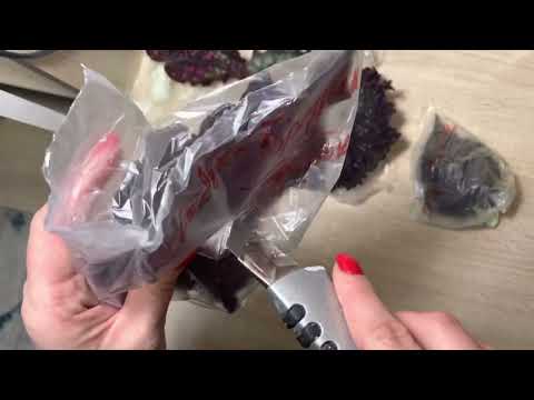 Видео: Распаковка новинок. Сорта LeRex 😍