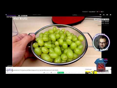 Видео: [SNAILKICK] Тренды от 25 сентября 2018.