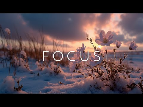 Видео: Спокойные акустические мелодии для безмятежных зимних снов