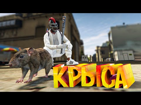 Видео: НАСТОЯЩИЕ КРЫСЫ! КОНФЛИКТ С РУКОВОДСТВОМ ФИБ! GTA 5 RP (Burton)