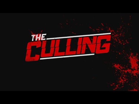 Видео: Димка is back (The Culling) (2)