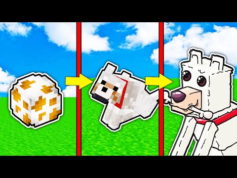 Видео: КАК МЕНЯЛСЯ СОБАКА ВОЛК МОБ И ЕГО ЖИЗНЕННЫЙ ЦИКЛ В МАЙНКРАФТ ! ЭВОЛЮЦИЯ И ТРОЛЛИНГ