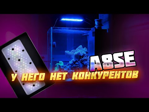 Видео: A8SE светильник для морского аквариума