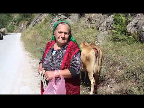 Видео: Бистра Карамфилова - с. Стърница