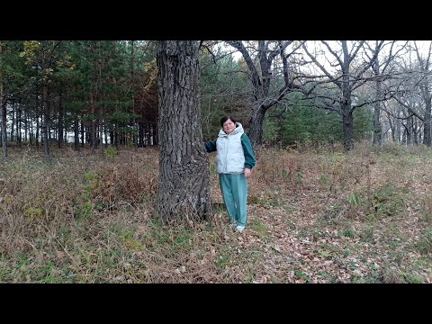 Видео: Здравствуйте мои дорогие подписчики! Вот и я появилась / МАМА ГУЛЯ /