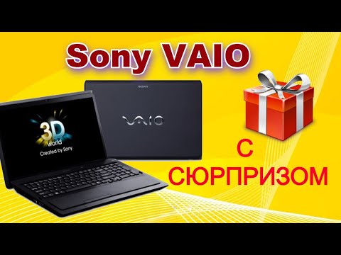 Видео: Принесли подклеить петли на Sony VAIO . А там....