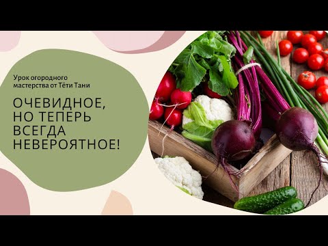Видео: Очевидное, но теперь всегда невероятное!