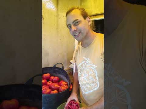 Видео: Ментална защита, как да си я направим, лесно бързо и проверено от мен лично 🙂