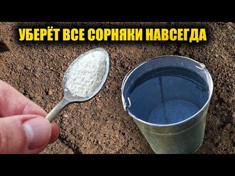 Видео: Любые сорняки исчезнут за 1 минуту навсегда! Рабочий способ как избавиться от сорняков без хлопот