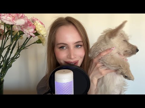 Видео: ASMR🪄 болтаю с лучшей подругой 🧘🏼‍♀️💅🏻🐶