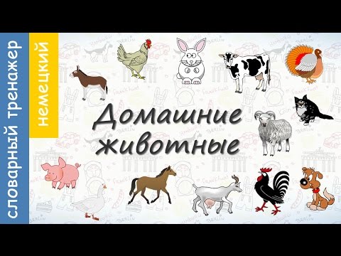 Видео: Домашние животные на немецком. ВИДЕОТРЕНАЖЕР