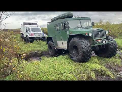 Видео: Сентябрьские процедуры.