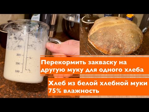 Видео: Перекормить закваску на другу муку и испечь хлеб из белой хлебной муки .