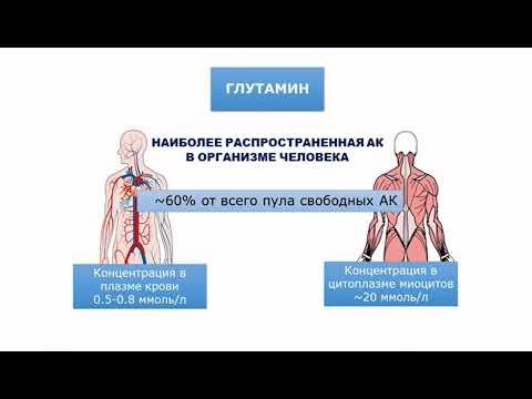 Видео: Клиническое питание Мачулина И.А.
