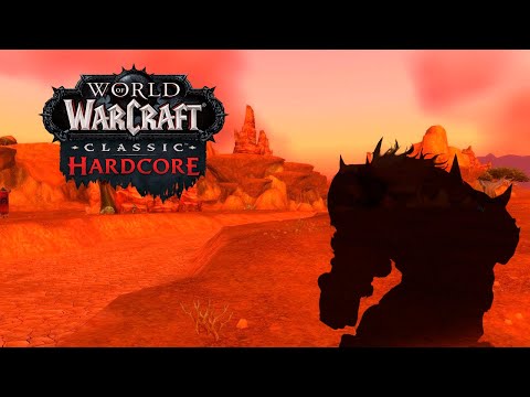 Видео: Обнуление Воина! WoW Classic HC