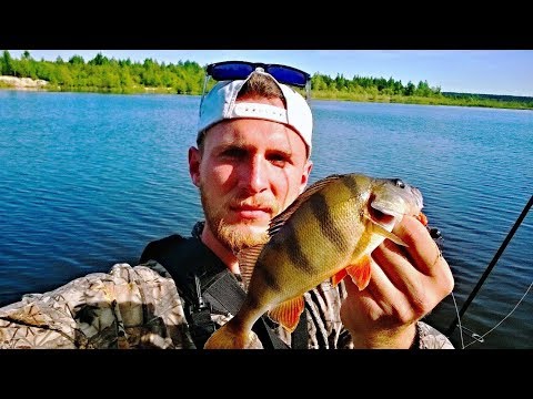 Видео: Ловля окуня  на микроджиг в начале мая .Топ правил , как поймать окуня в мае .