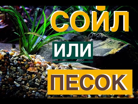 Видео: Сойл или Песок Аквариумистика или Акваскейпинг