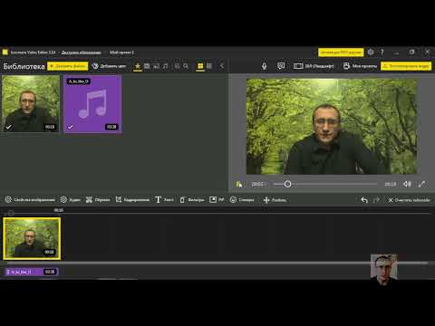 Видео: Как усилить, уменьшить, добавить или удалить звук из видео / Icecream Video Editor