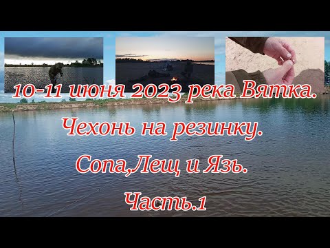 Видео: 10 -11 Июня 2023 река Вятка. Чехонь на резинку. Сопа, Лещ и Язь.  Часть 1.