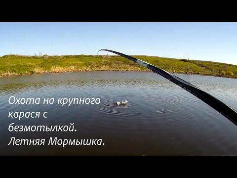 Видео: 3 мая 2023. Охота на крупного карася с безмотылкой. Боковой кивок.
