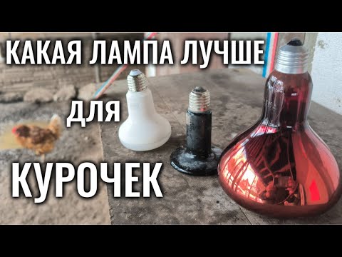 Видео: Инфракрасные лампы для курятника - керамическая с нихромовой нитью или стеклянная с вольфрамовой?