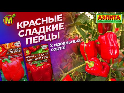 Видео: Красные сладкие перцы. Толстостенные сорта перца.